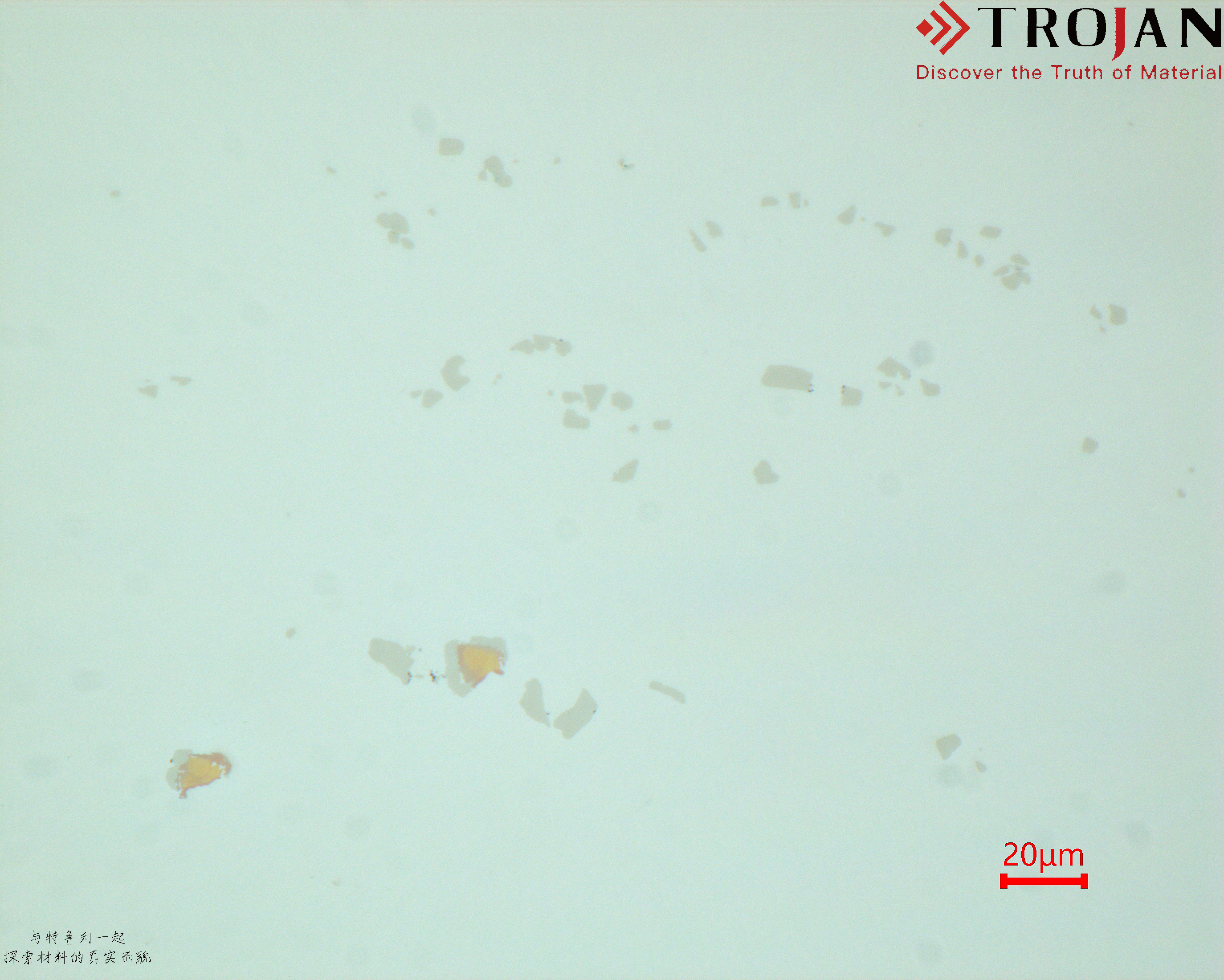 GH4169 Metallographic Microstructure 20μm